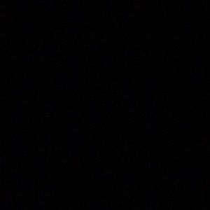 Meet your Posher, Digna